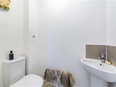 Picture 16